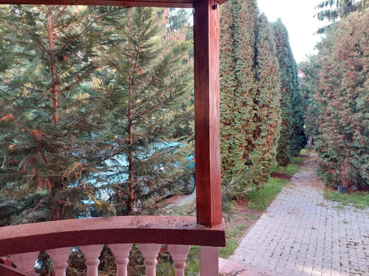 Apartamente Bobo Sangeorgiu de Mures Luaran gambar
